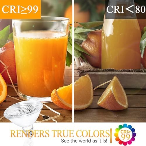 Lachesan PAR30 Halogen Flood Light Bulbs 6pcs 120V Dimmable 2700K Warm White