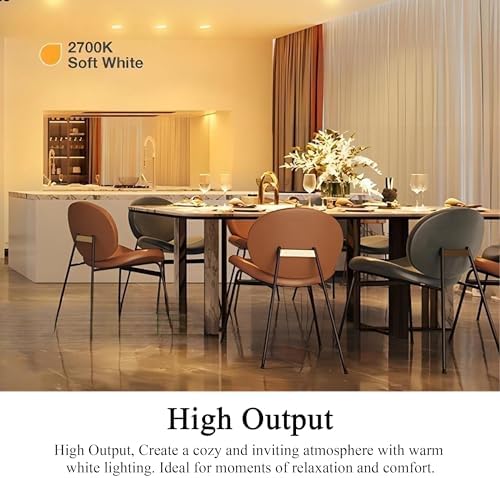 Lachesan PAR30 Halogen Flood Light Bulbs 6pcs 120V Dimmable 2700K Warm White