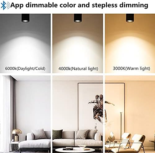 Yodaba Dimmable Smart LED Ceiling Spotlight