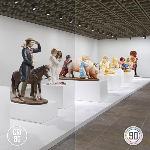 LEONLITE 175W LED Track Light Heads 36 Dimmable Pack of 4