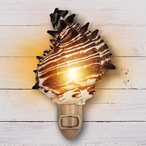 Tumbler Home Shell Night Light - Coastal Decor