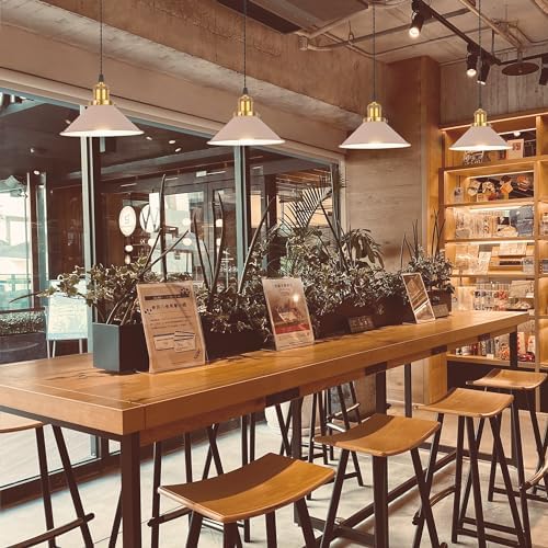 Adjustable Height Juno Track Pendant Lights in Antique Brass