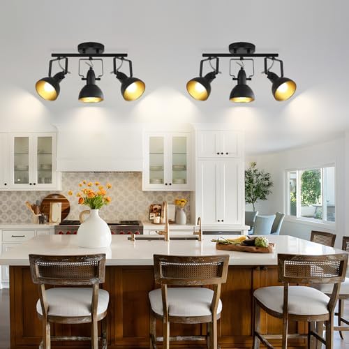 MUEOF Industrial 3-Light Track Lighting Black Ceiling Spotlight