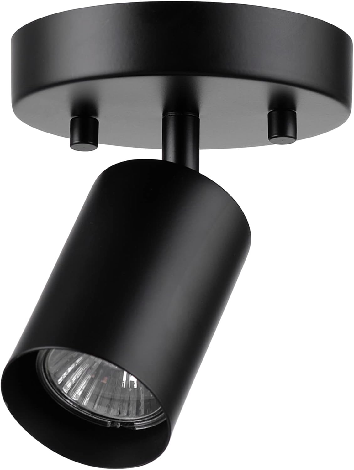 Globe Electric 57498 Matte Black Spot Light