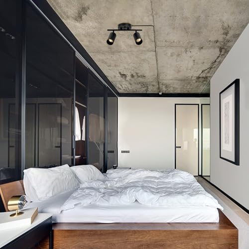 Globe Electric 12 2-Light Track Lighting with Matte Black Shades