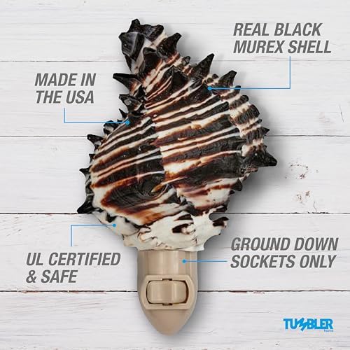 Tumbler Home Shell Night Light - Coastal Decor