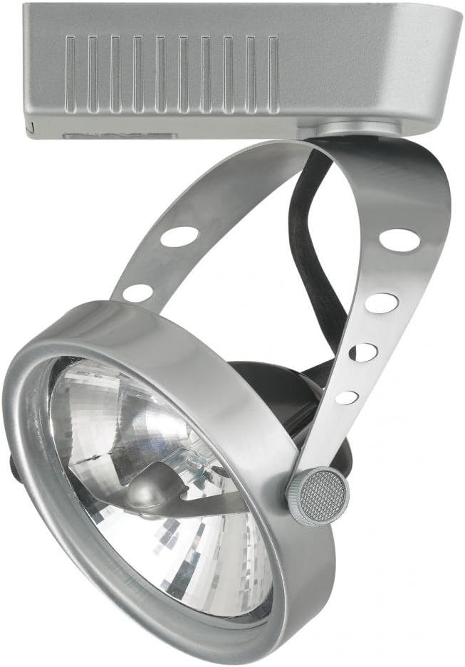 Cal AR-111 12V 50W Elliptical Track Light Head