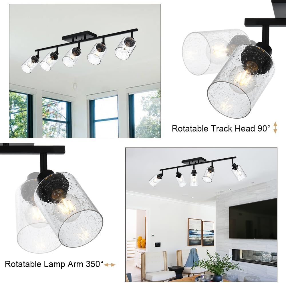 5-Light Track Lighting Fixtures with Seeded Glass Shade