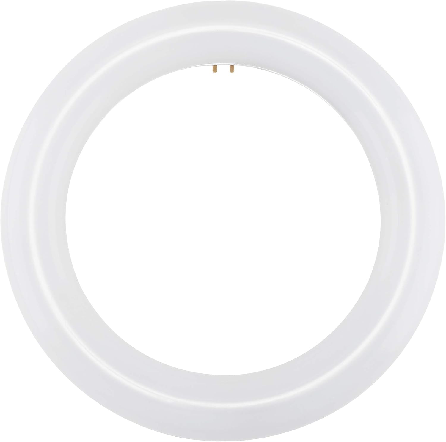 Satco 12 LED Circline Bulbs 11W G10q 4-Pin Cool White