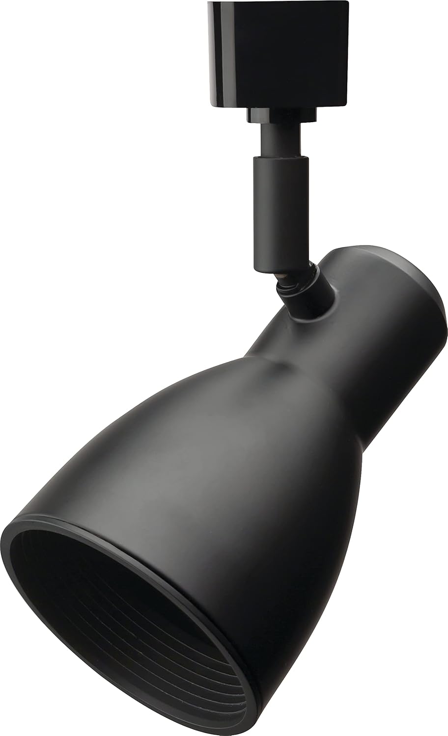 Lithonia Lighting BR20 Double Baffle Head Track Lighting Black