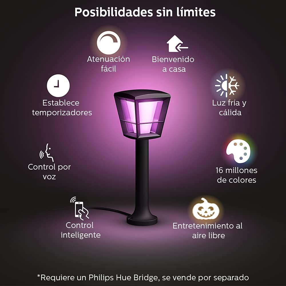 Philips Hue Econic Pathway Light with Alexa Control