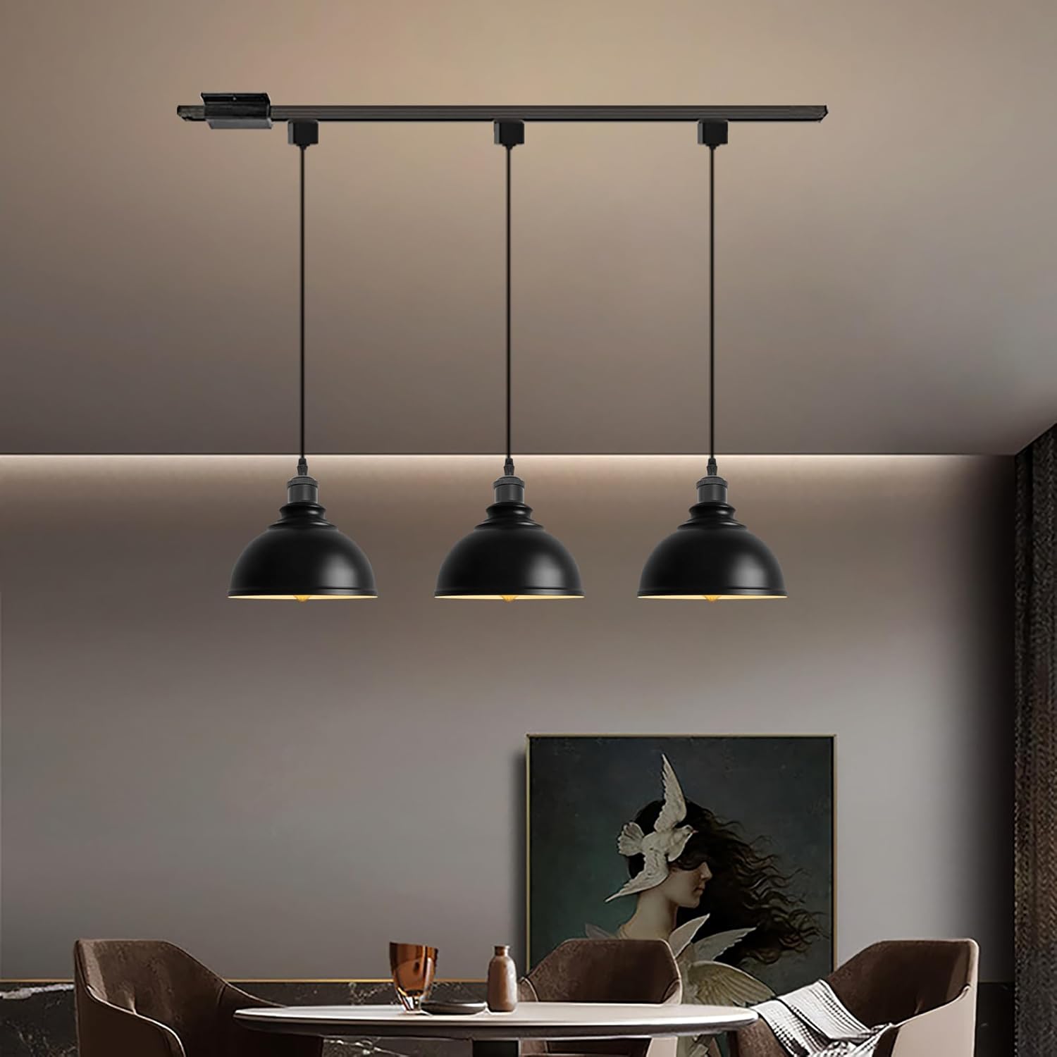 SKIVTGLAMP Modern Black Iron Dome Track Pendant Light