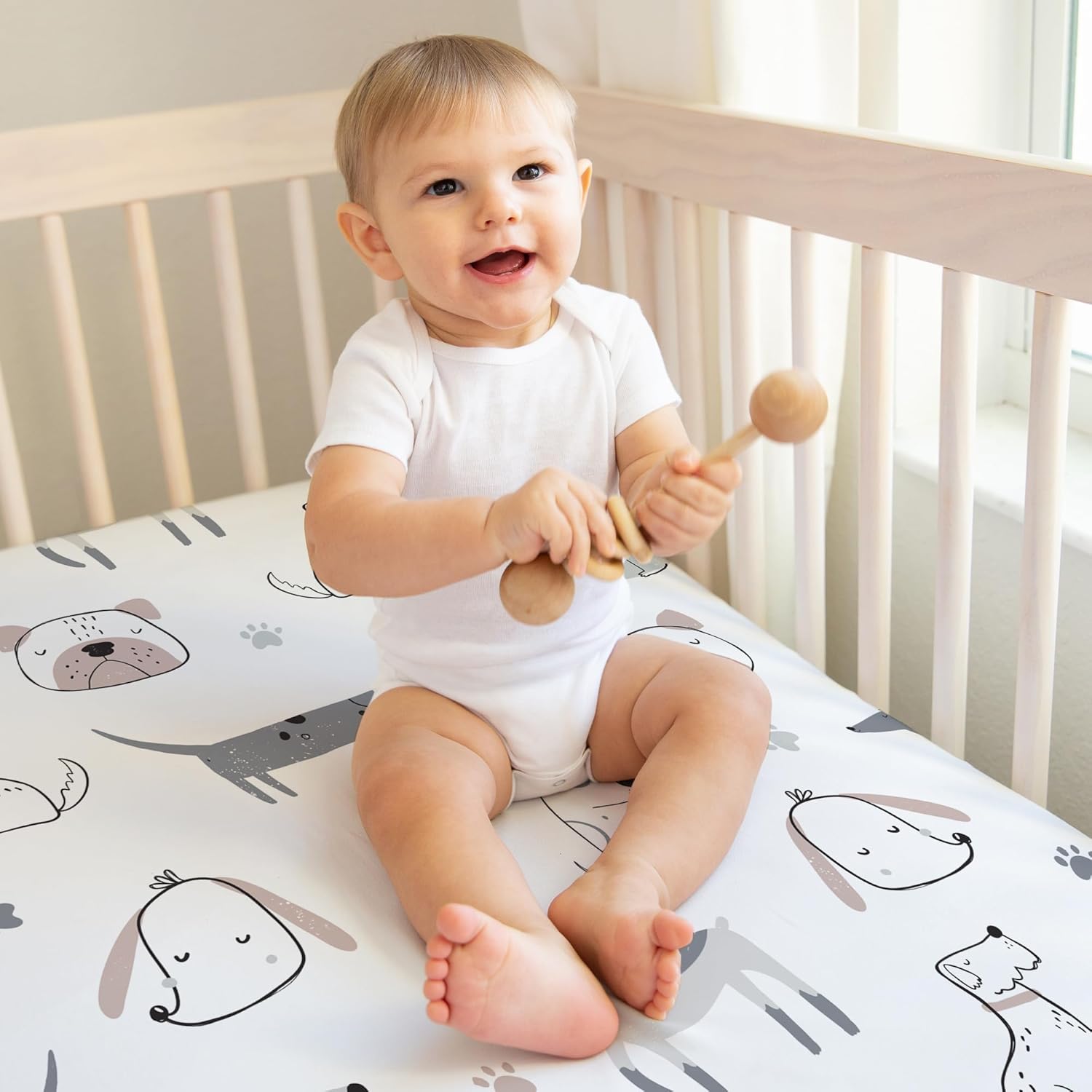 Sweet Jojo Designs Baby Crib Sheet Set 2pc