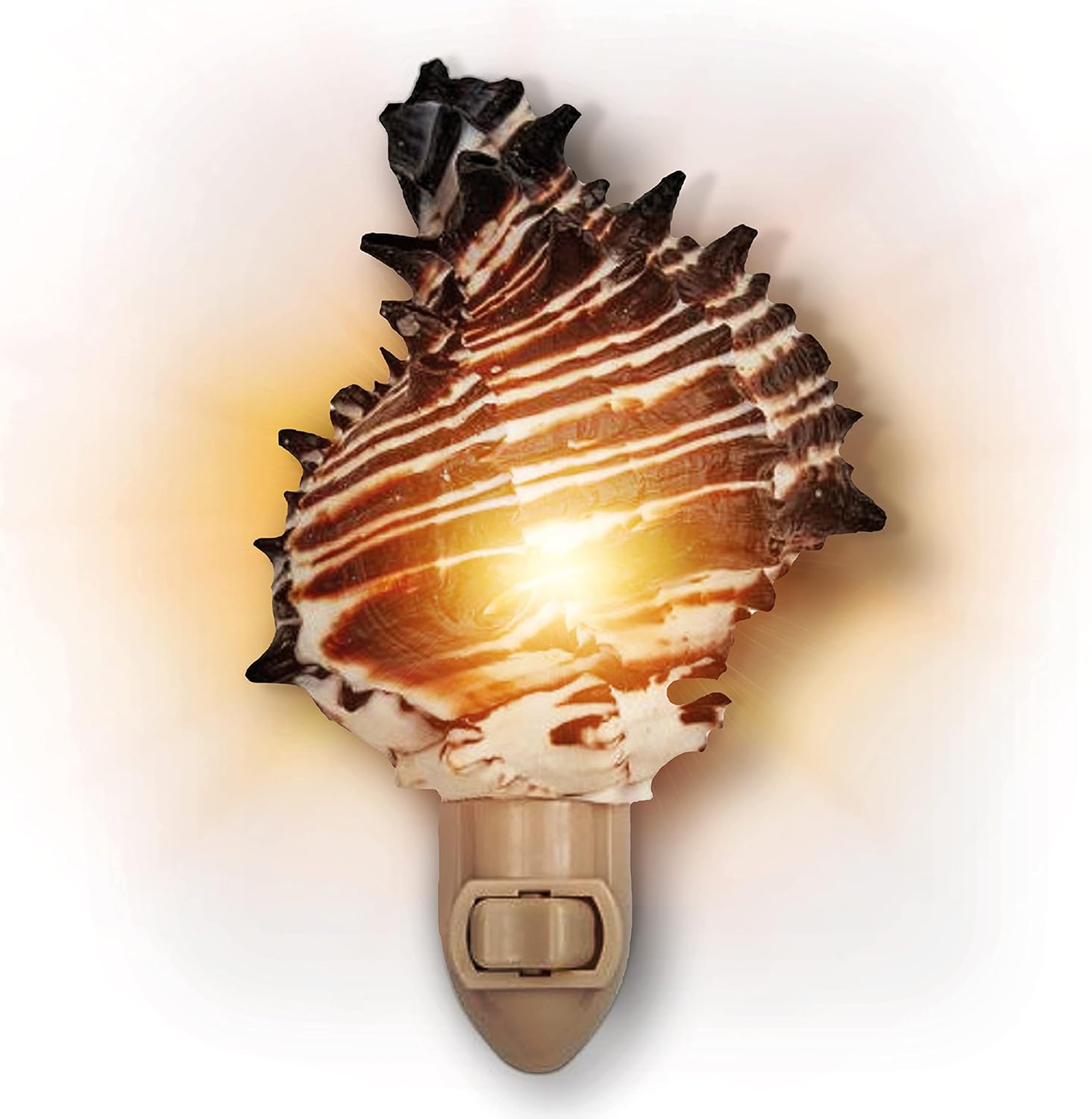 Tumbler Home Shell Night Light - Coastal Decor