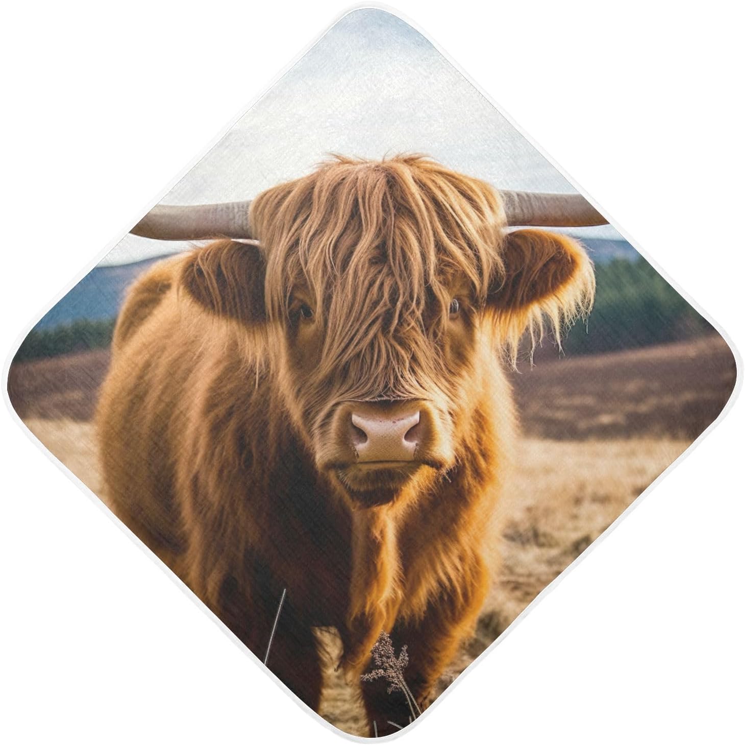 YETTASBIN Highland Cow Baby Towel Ultra Soft Absorbent Cotton