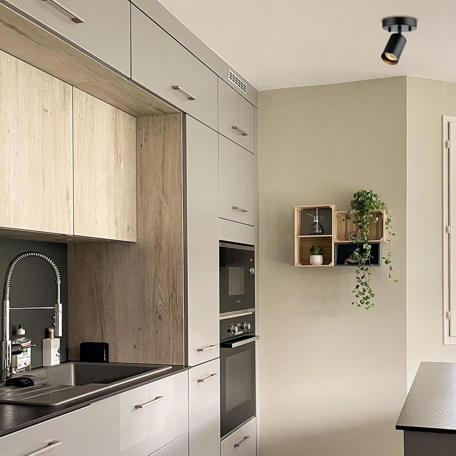 Globe Electric 57498 Matte Black Spot Light